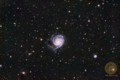 M101, Pinwheelgalaxy im Großen Bär. Wildpark Schorfheide. 22 Bilder mit 300 Sekunden, ISO 3200, Apo 540 mm F 6 an D5300a auf EQ6, Autoguiding MGEN3, 20 Biases