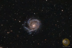 M101, Pinwheelgalaxy, D5300, Apo 540 mm, 3 Nächte April 2024 und April 2025, insgesamt ca. 5 Std. Belichtungszeit