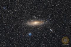 M31, Andromedagalaxie, Wildpark: 20 Bilder mit 60 Sekunden, ISO 1600, F 2.0, 135 mm an D5100a auf Staradventurer, Dithering, keine Korrekturbilder. kein Guiding