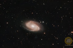 M81, Bodes Galaxie, Eispfad: 11 Bilder mit 5 Minuten, ISO 8000, F 6.0 RC6, 920 mm an D500a auf EQ6, Autoguiding MGEN3, 8 Darks, je 10 Flats und Biases