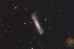 NGC3628, Hamburger-Galaxie im Leo Triplett, 103 Bilder mit 4 Minuten. ASI 071 MC Pro, RC 6 bei 1340 mm, auf EQ6, Gain 90, Offset 50, Dithering, Autoguiding OAG mit ASI 220 mini. Stellarmate OS auf Raspberry 4. Drizzle 2 beim Stacking.Je 20 Flats und Darkflats, 10 Darks