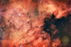NGC7000, Cygnus Wall, Eispfad;25 Bilder mit 300 Sek. ASI071 mc Pro, RC 6, 1370 mm, F 9, Gain 90, Guiding OAG ASI220 mini, 20 Flats und Biases