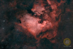 NGC 7000 im Schwan, Eispfad: 47 Bilder mit 300 Sekunden. ASI071 mc Pro, APo 190 mm, F 3.8, Gain 90, auf EQ6 Pro, Autoguiding ASI715 mc, 240 mm, Steuerung StellaVita, 10 Darks,20 Biases. Drizzle 1,5 beim Stacken