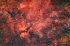 Gamma-Cygni-Komplex um Sadr, Groß Schönebeck: 63 Bilder mit 300 Sekunden. ASI071 mc Pro, APo 190 mm, F 3.8, Gain 90, auf EQ6 Pro, Autoguiding ASI715 mc, 240 mm, Steuerung StellaVita, 10 Darks,10 Flats, 20 Biases. Drizzle 2 beim Stacken